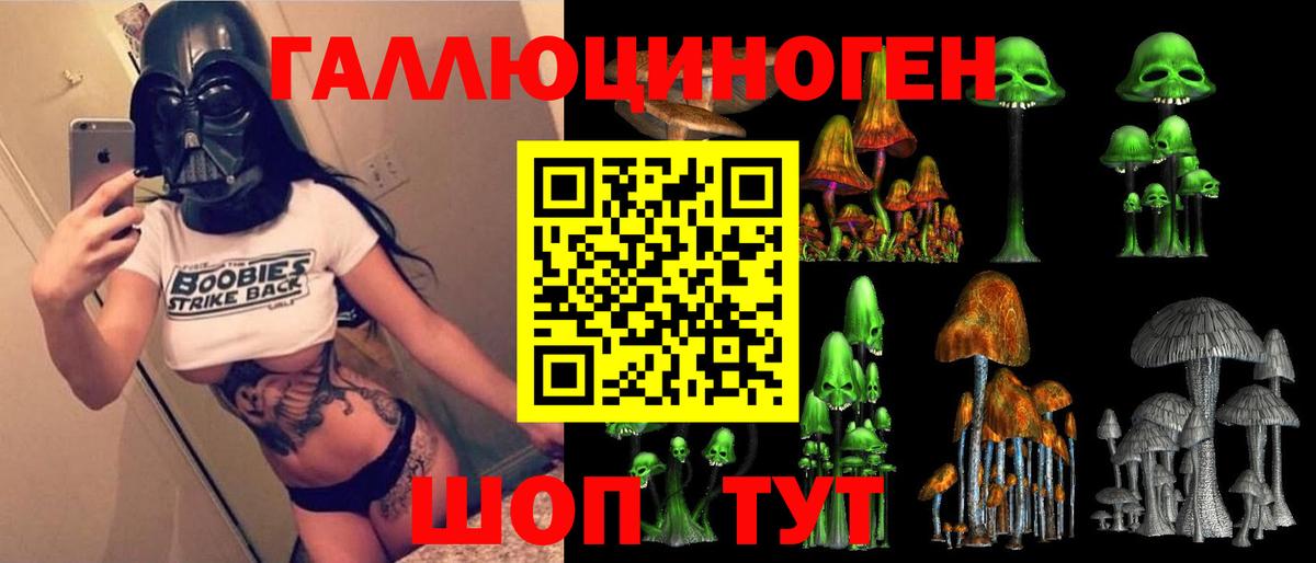 Псилоцибиновые грибы GOLDEN TEACHER Котельники